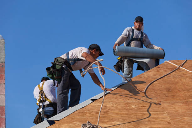 Roof Waterproofing Services in Urania, LA