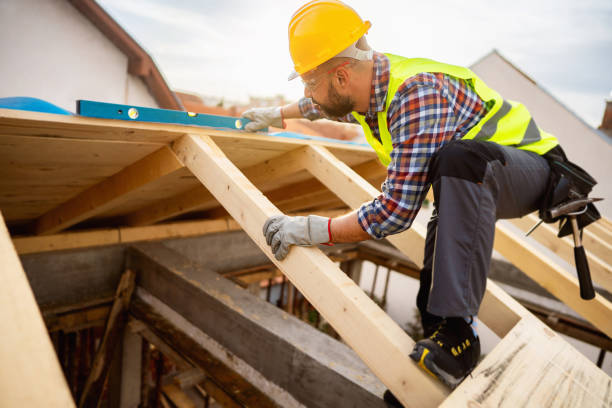 Best Shingle Roofing Installation  in Urania, LA